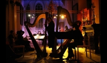 Festival Nieuwe Muziek: Open Performance Site {alt_text}